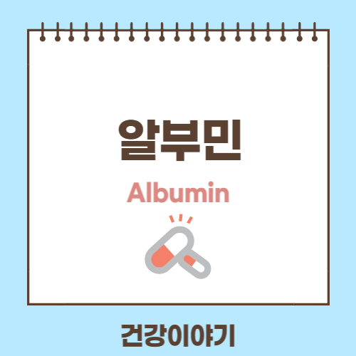 알부민이란