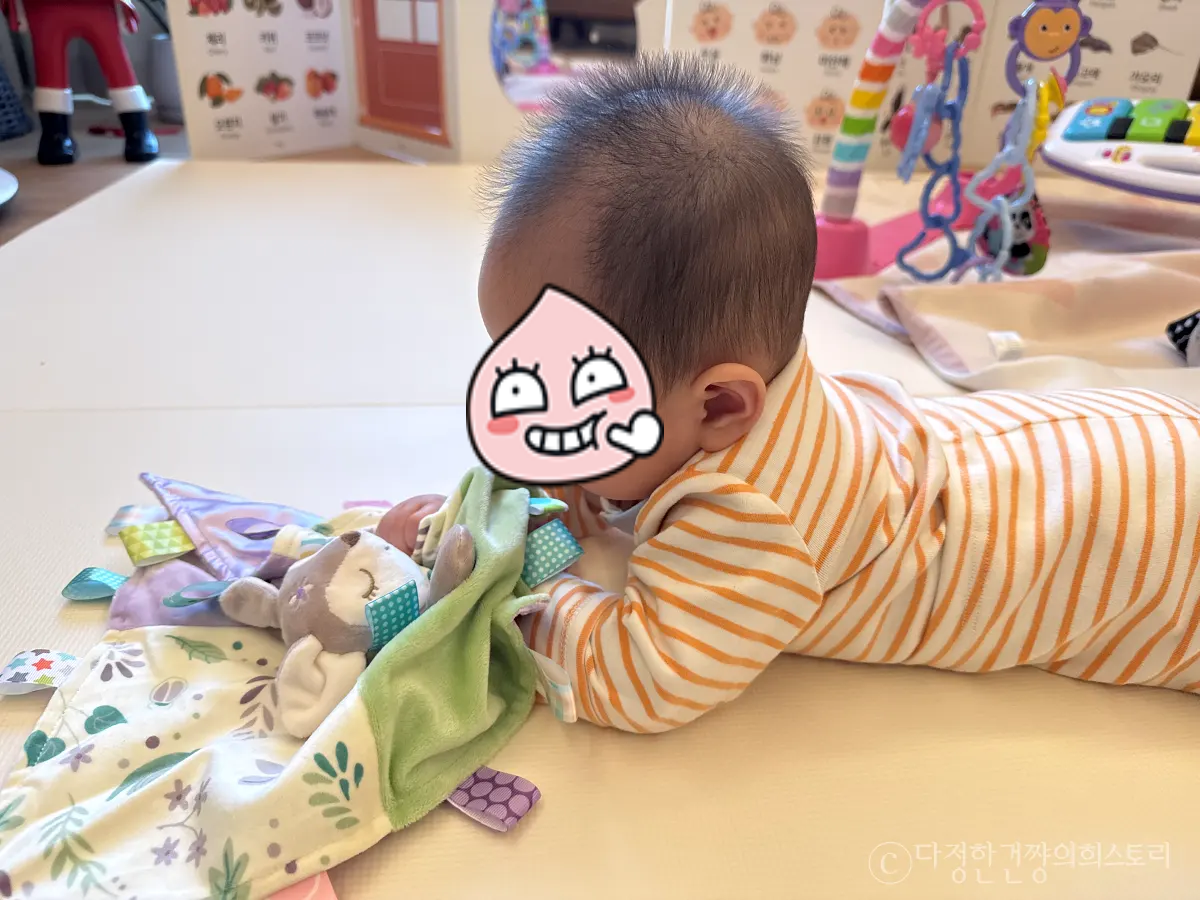 메리메리어-태기스-인형-미국-브랜드-애착-인형-블랭킷