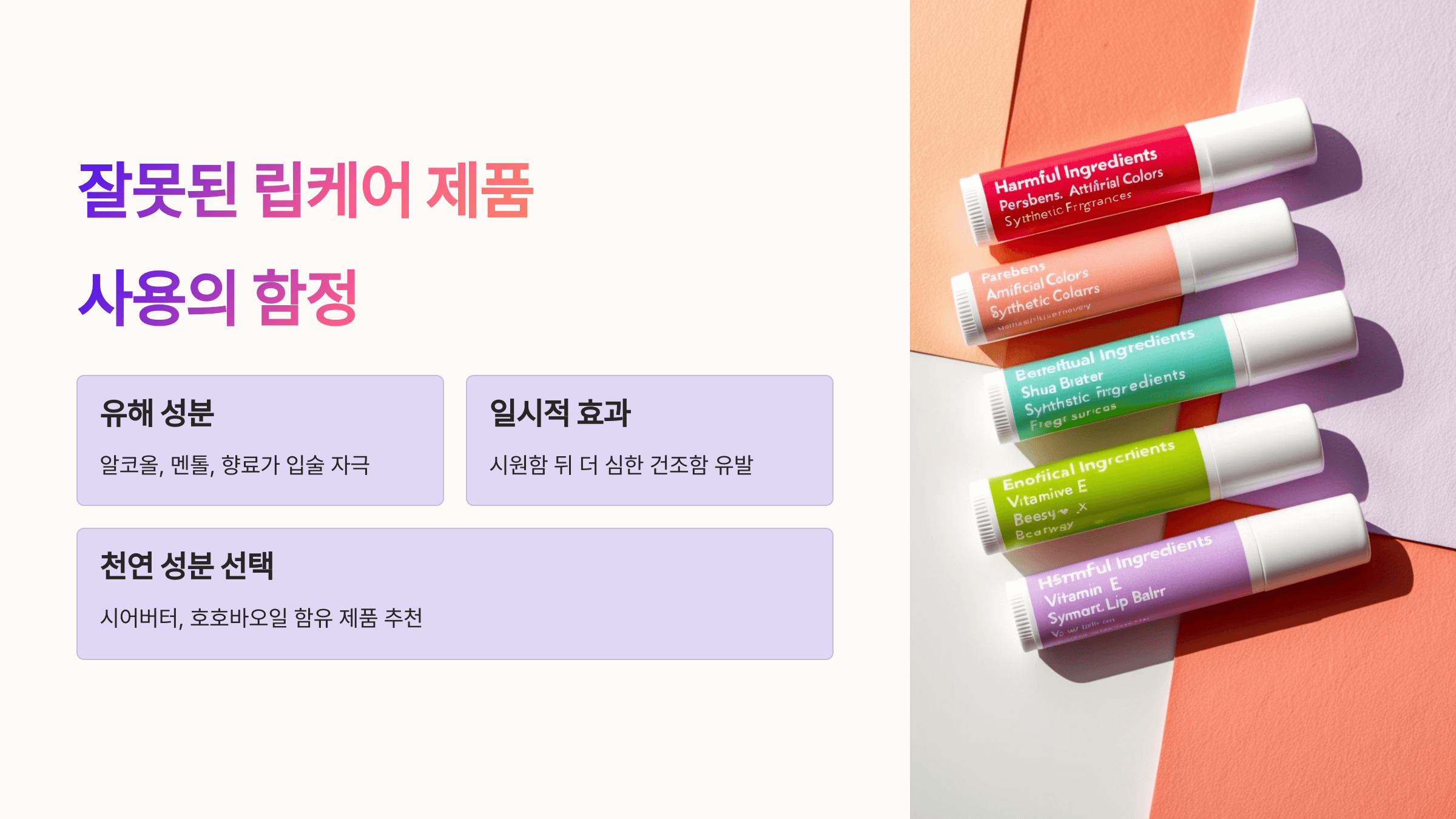 입술 사진입니다.