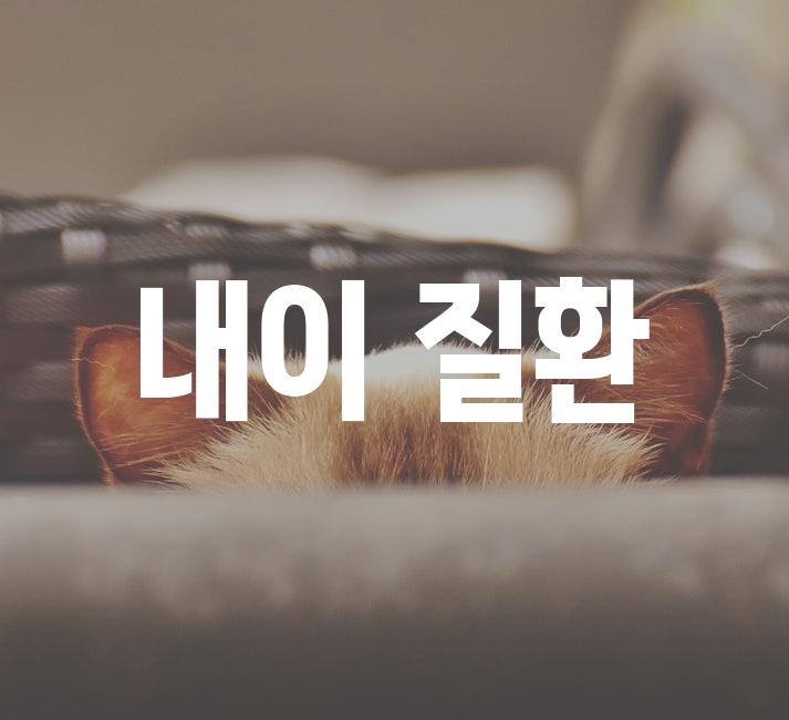 내이 질환