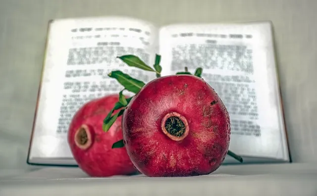 샬롬 뜻 히브리어 평화 유래 사용법_5