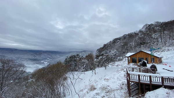 지리산 살구 카페 과일요거트 카페오도재