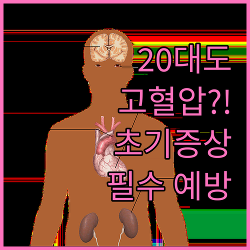 20대 고혈압, 방치하면 큰일! 초기..