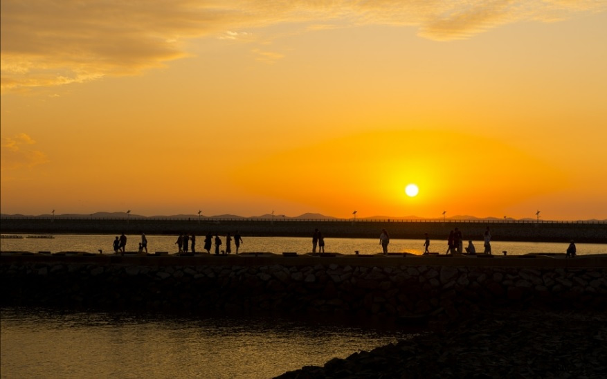 홍성 남당항 대하축제