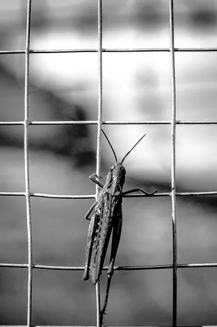 감옥탈출 리마스터 게임의 특징과 클리어 팁 알아보기_3