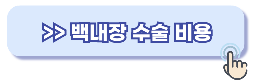 백내장 수술비용