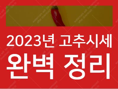 고추시세