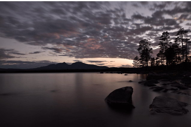 제로웨이스트 시대의 소비자 행동 변화와 브랜드 관계의 진화