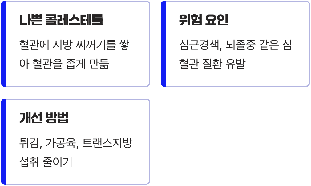 혈관의 방해꾼&amp;#44; LDL 콜레스테롤