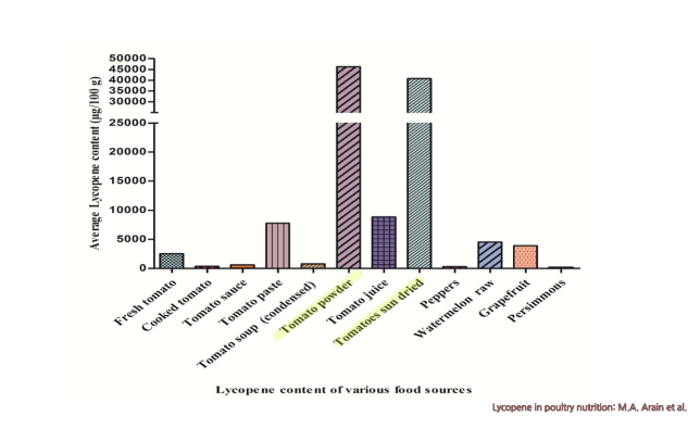 라이코펜이 많이 든 음식