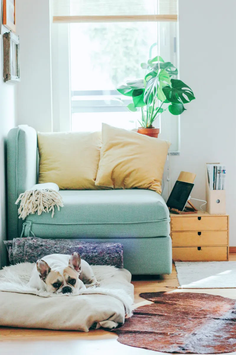 LTV&amp;#44; DTI&amp;#44; DSR&amp;#44; 스트레스DSR&amp;#44; 주택담보대출&amp;#44; 2025대출규제&amp;#44; 대출한도줄어드는이유&amp;#44; LTVDTIDSR차이&amp;#44; 수도권대출규제&amp;#44; 생애최초대출조건&amp;#44; 신혼부부대출혜택&amp;#44; 주택담보대출계산법&amp;#44; 정책대출예외&amp;#44; 전세대출규제&amp;#44; 디딤돌대출&amp;#44; 보금자리론&amp;#44; 부동산대출규제&amp;#44; 대출한도계산법&amp;#44; 2025부동산정책&amp;#44; DSR예외적용