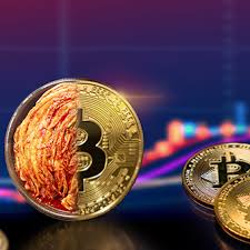 미국 대선 앞두고 코인 시장 변화?