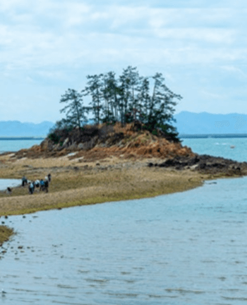 군산_무녀도_쥐똥섬_물때_당일치기_여행_추천코스