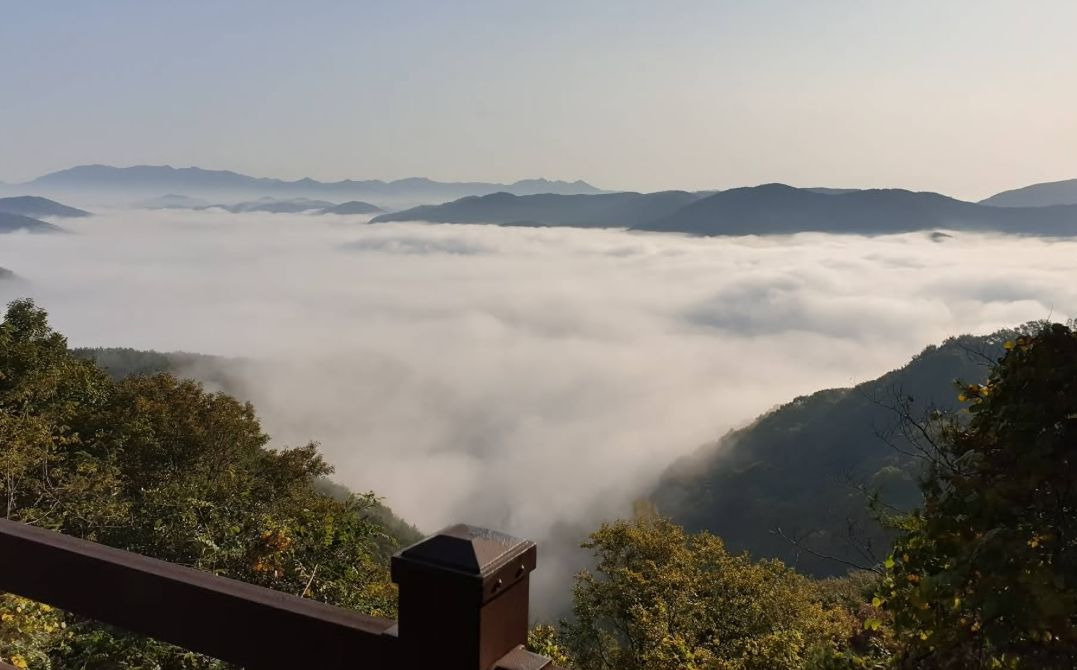 박진고개(구름재) 