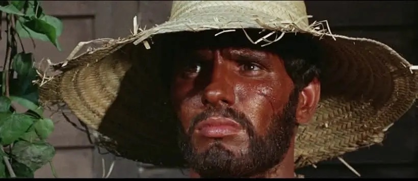 검게 염색하고 밀집모자를 쓴 농부로 위장한 링고