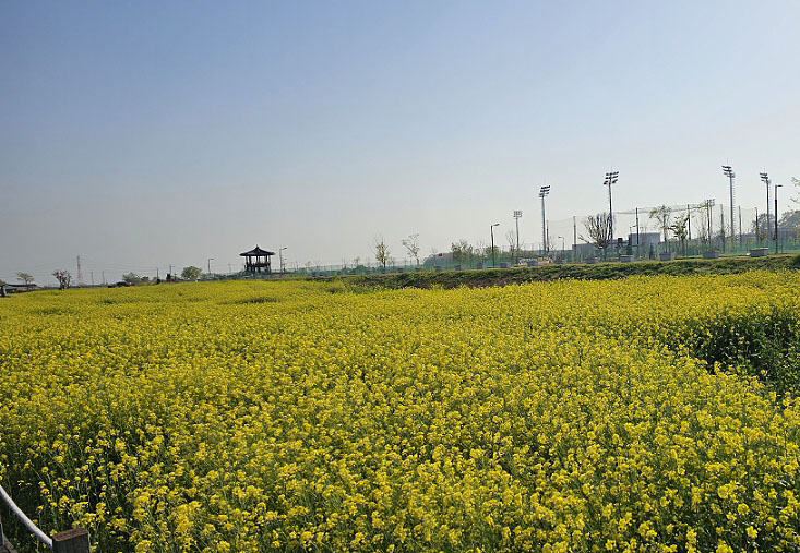 당진 삽교파크골프장 (삽교천파크골프장, 삽교호파크골프장)
