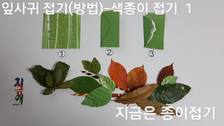 잎사귀 모양으로 오리는 설명입니다.