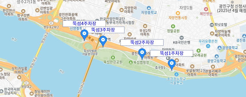 한강 드론쇼