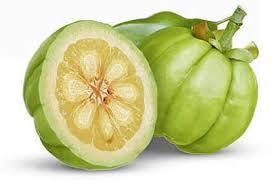 다이어트 보조제 : 가르시니아 캄보지아