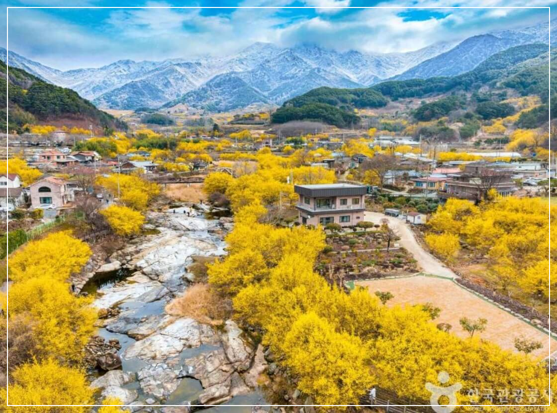 구례 가볼만한곳 베스트10 구례산수유마을