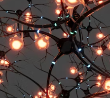 포스파티딜 세린 효능 음식 추천 부작용