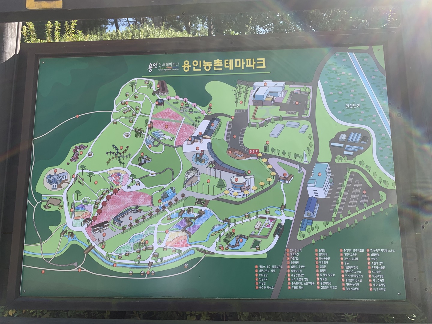 용인농촌테마파크 지도