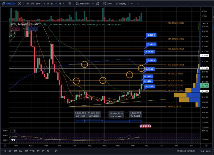 nkn코인 시황분석