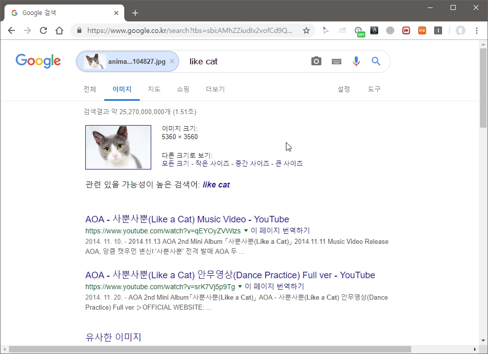 이미지로 검색