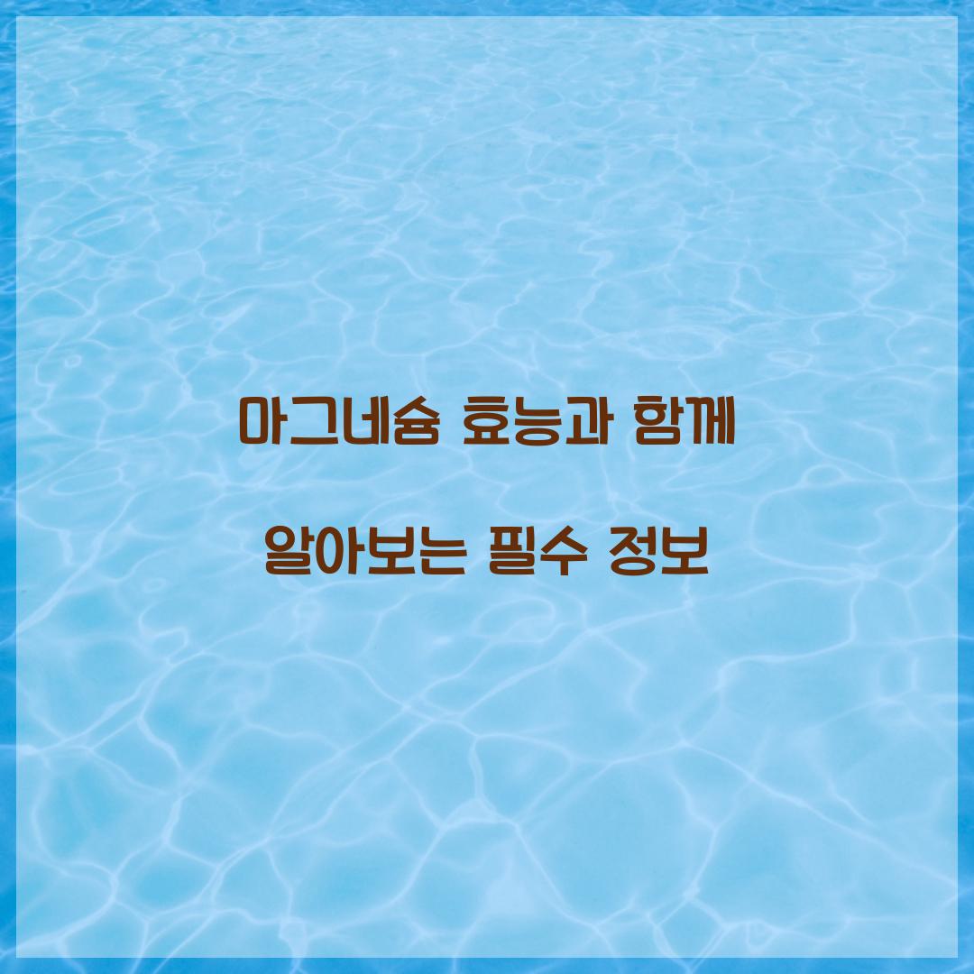 마그네슘 효능