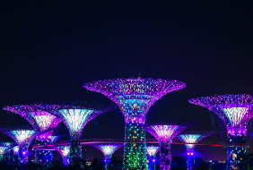 싱가포르-입국신고서