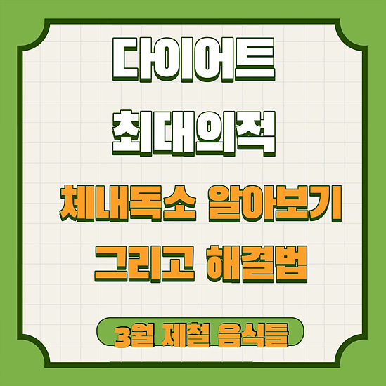 다이어트의 최대의 적 체내독소 파헤쳐 보기 및 해결법