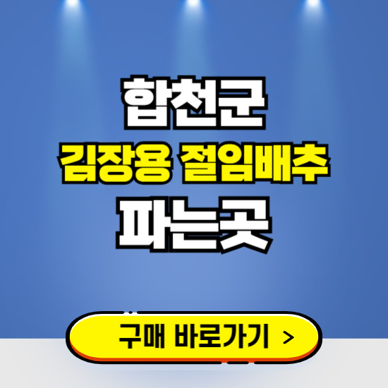 합천군 절임배추 사전예약 구입하는곳 ❘ 김장배추 파는곳 가격보기