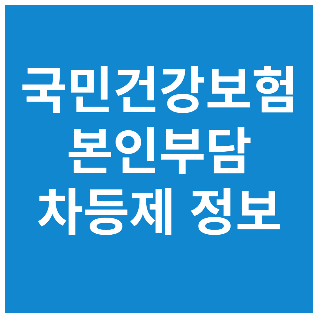 국민-건강보험-본인부담-차등제-정보