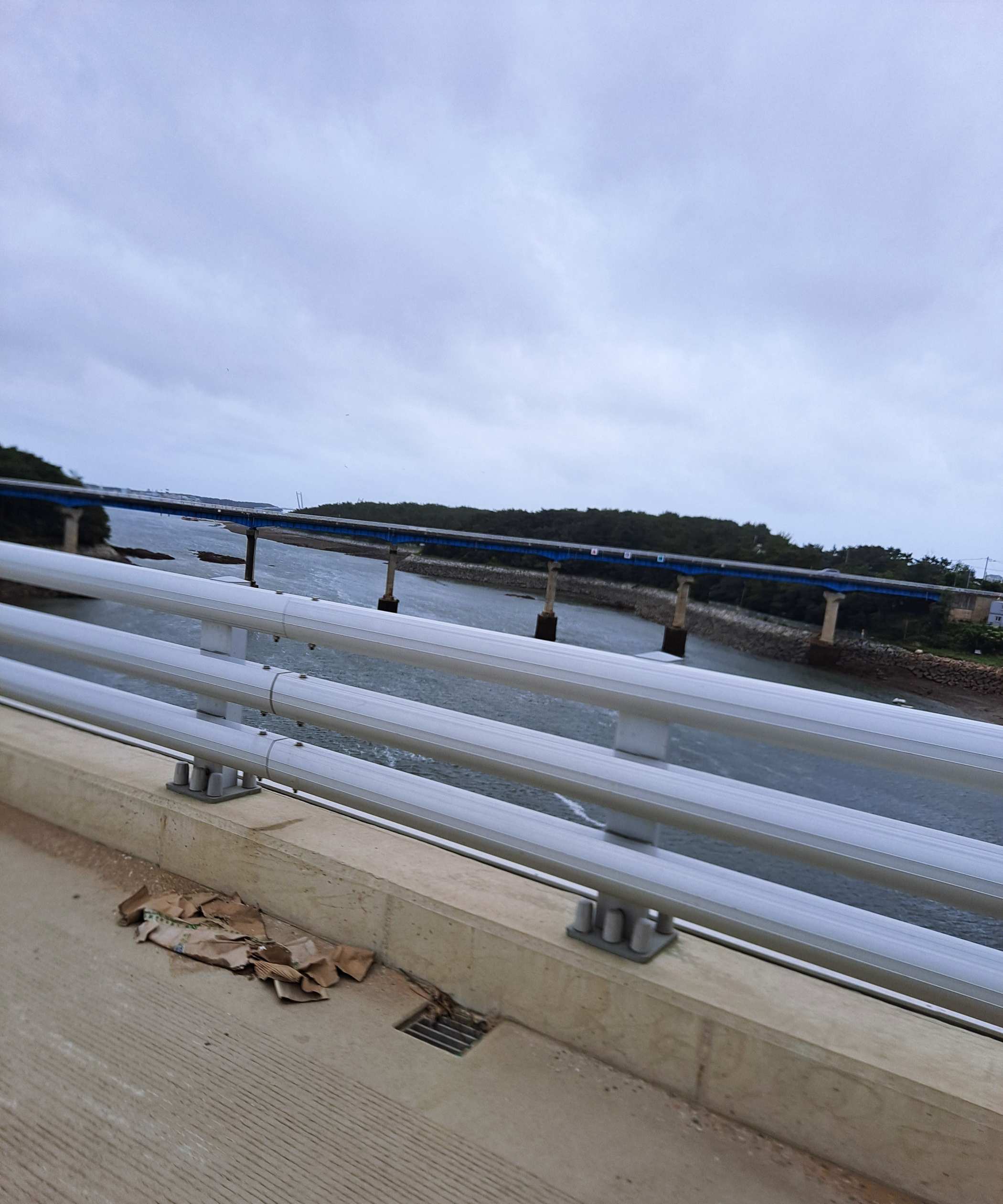 안면대교 건너다