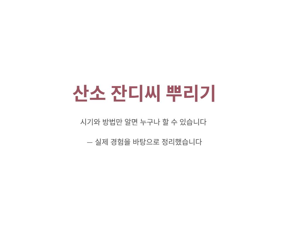 산소 잔디씨 뿌리기