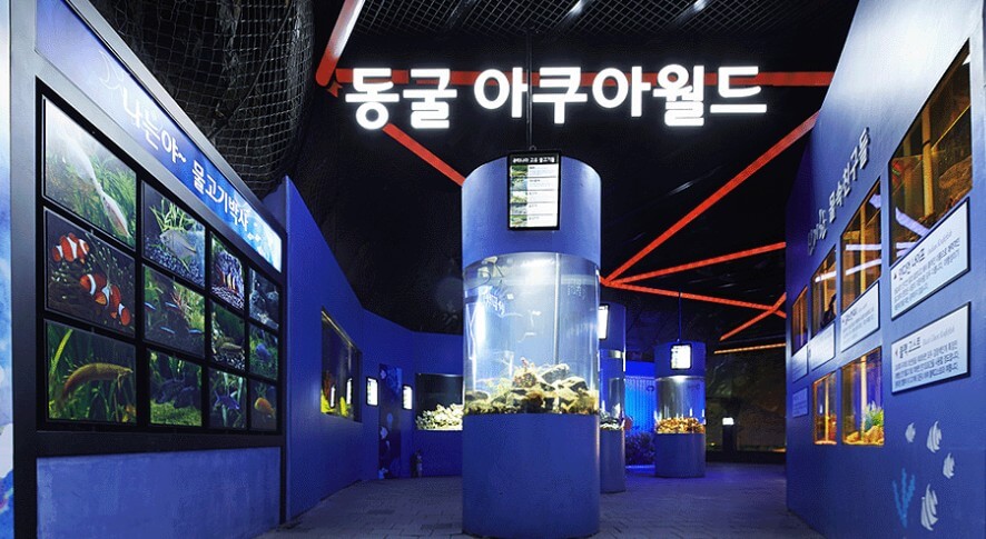 광명동굴 여행 : 도심 속 빛의 지하 세계로 떠나다. 입장료 부터 주차까지 알아보기!!!