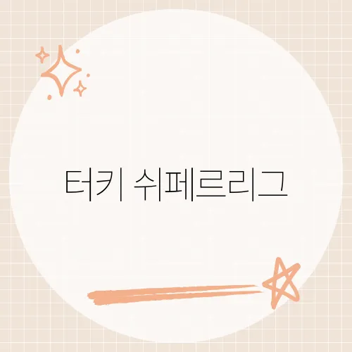 터키 쉬페르리그, 유럽에서 이 리그가 주목받는 이유