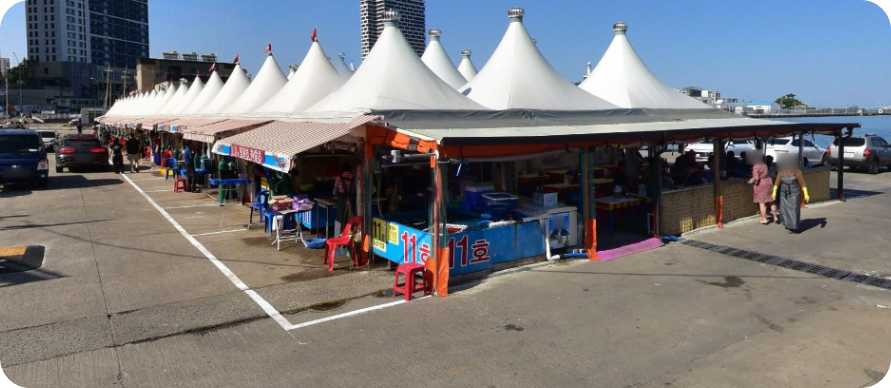 속초오징어난전사진