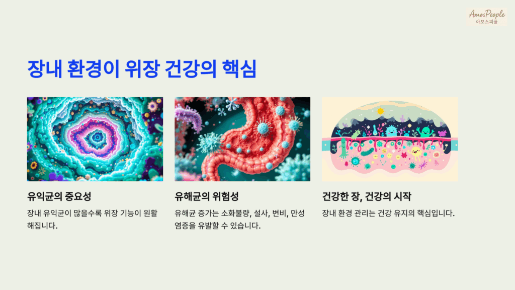 장 내 환경이 곧 위장 건강의 핵심이다
