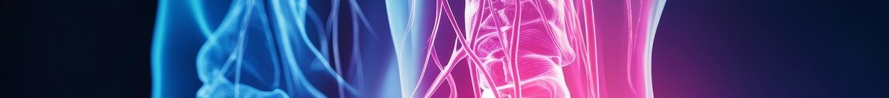 콘드로이친 효능 이미지