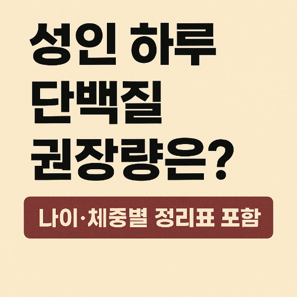 단백질 권장량