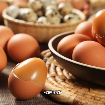 비타민b3가 많은 식품