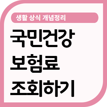 국민건강보험료 조회