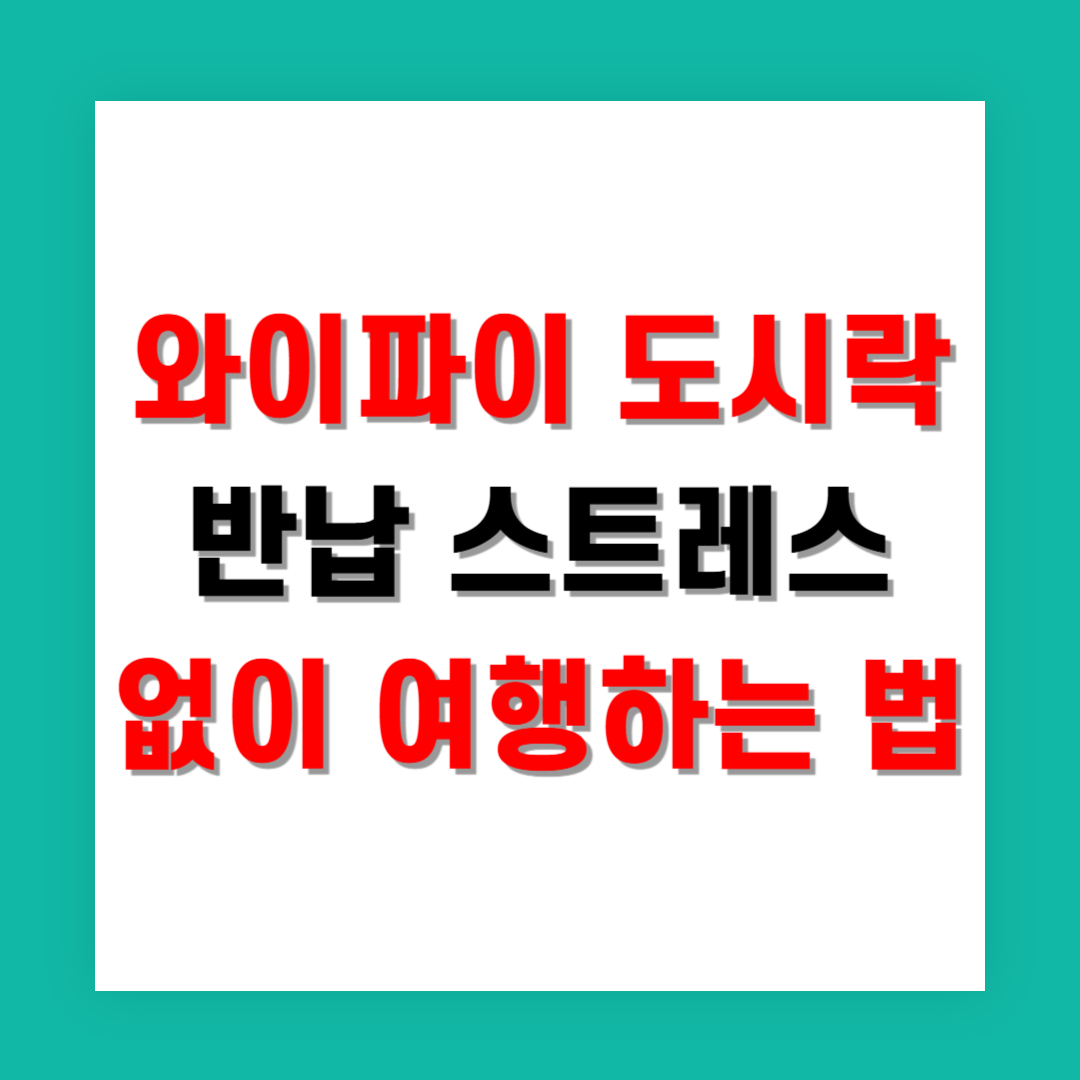 와이파이 도시락 반납 스트레스 없이 여행하는 법