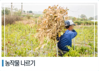 쯔쯔가무시 초기증상 치료방법