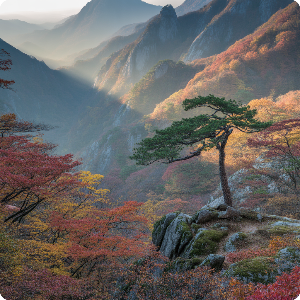 2025년 단풍 절정 시기·명소 이미지