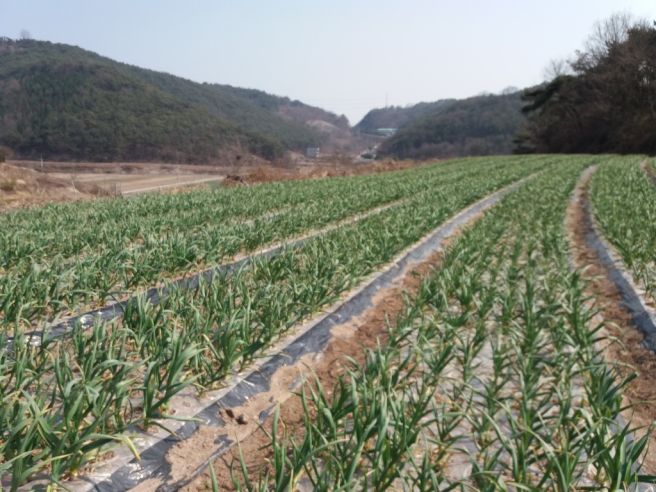 공익직불금 신청