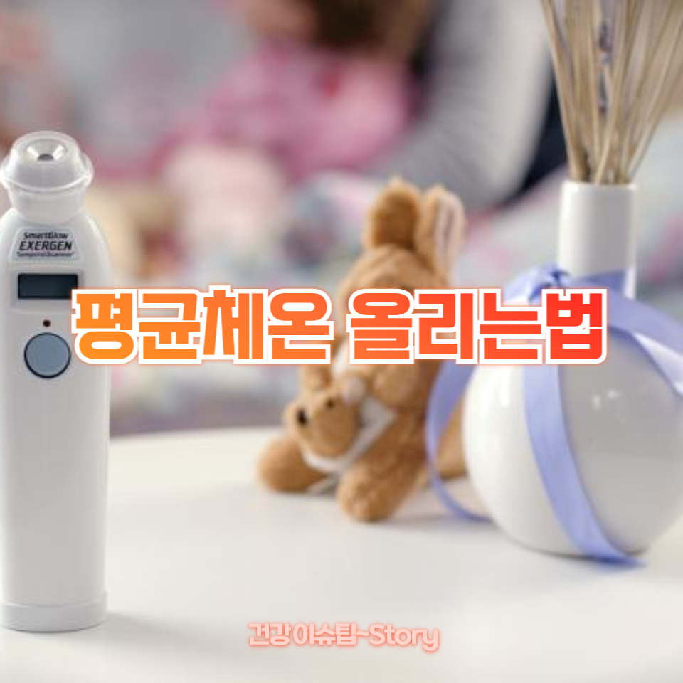 평균체온 올리는법