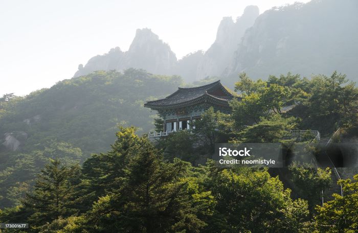 마음철학