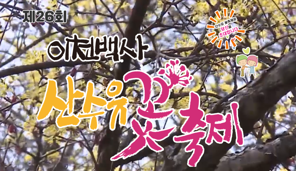 이천 산수유 축제